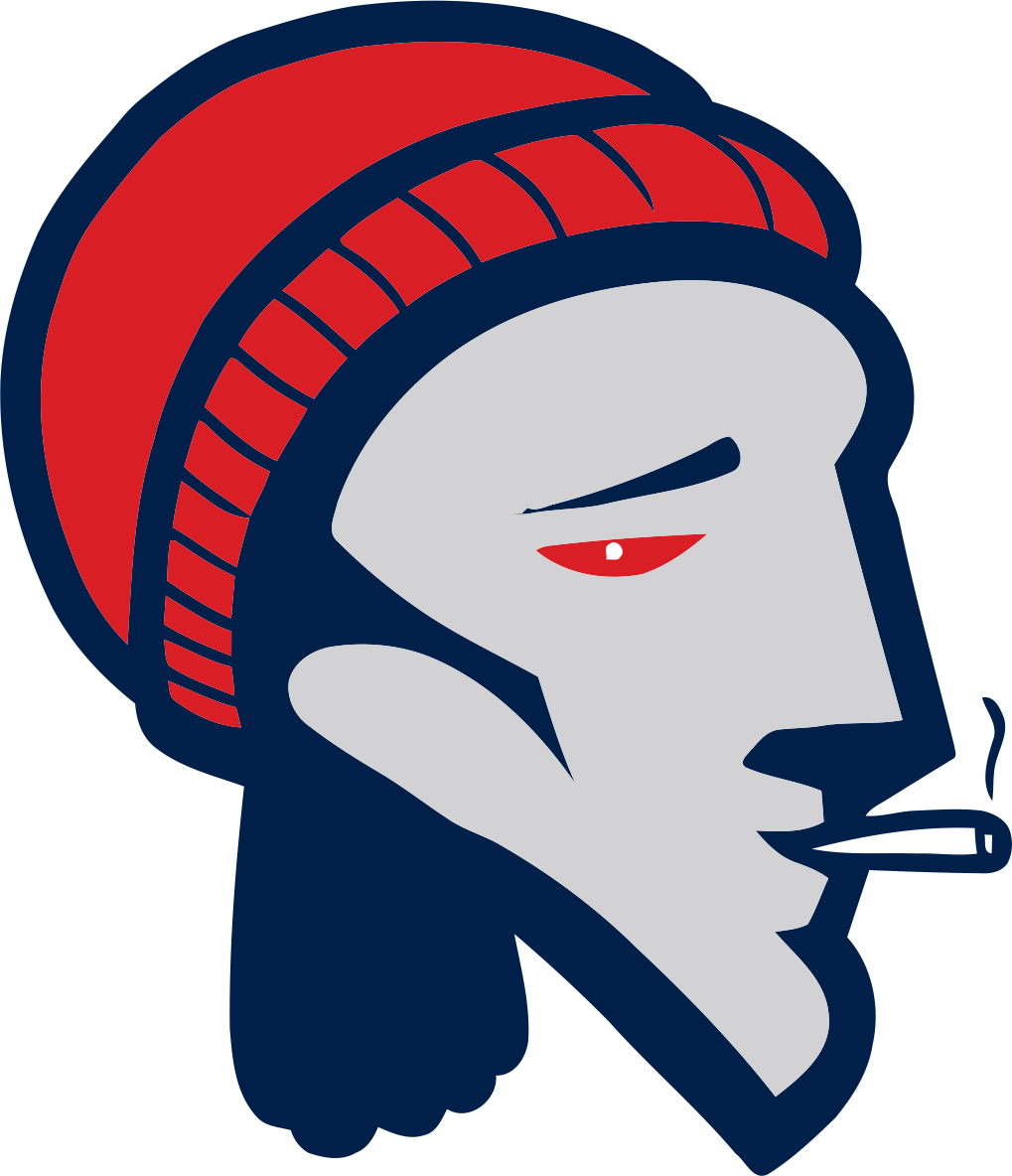 New England Patriots Smoking Weed Logo DIY iron on transfer (heat transfer)